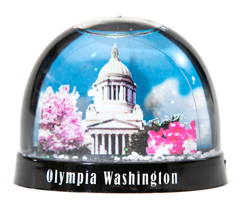 Capitol Snow Globe