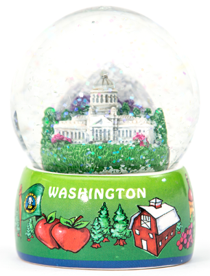 Washington Snow Globe