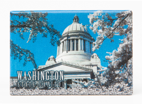 Photo Magnets Capitol with Cherry Blossoms 1206