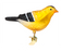 Goldfinch Clip Ornament